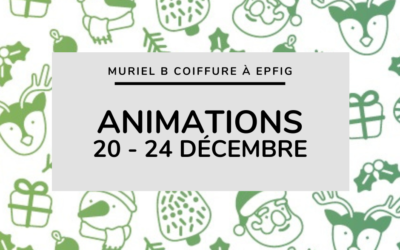 Animations de décembre : du 20 au 24 décembre