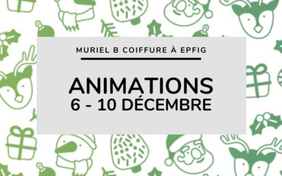 Animations de décembre : du 6 au 10 décembre