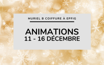 Animations de décembre : du 11 au 16 décembre