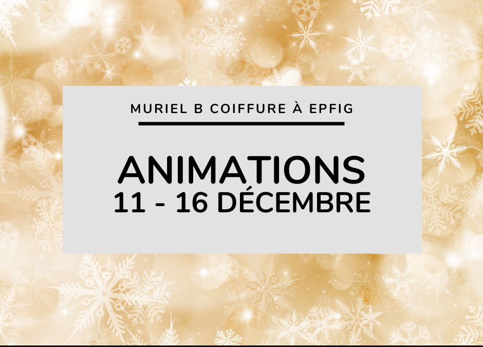 Animations de décembre : du 11 au 16 décembre