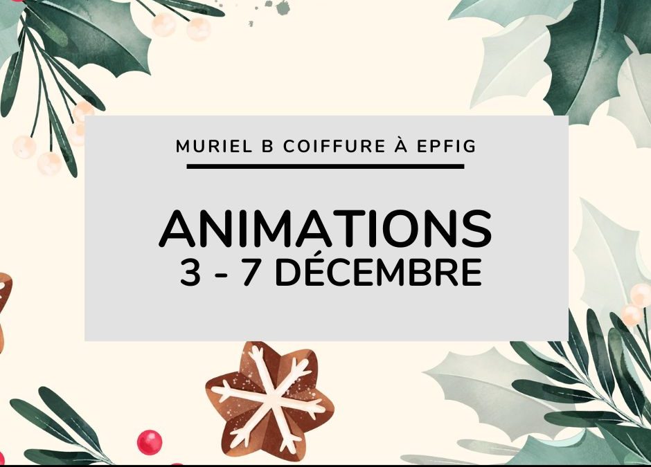Animations de décembre : du 3 au 7 décembre