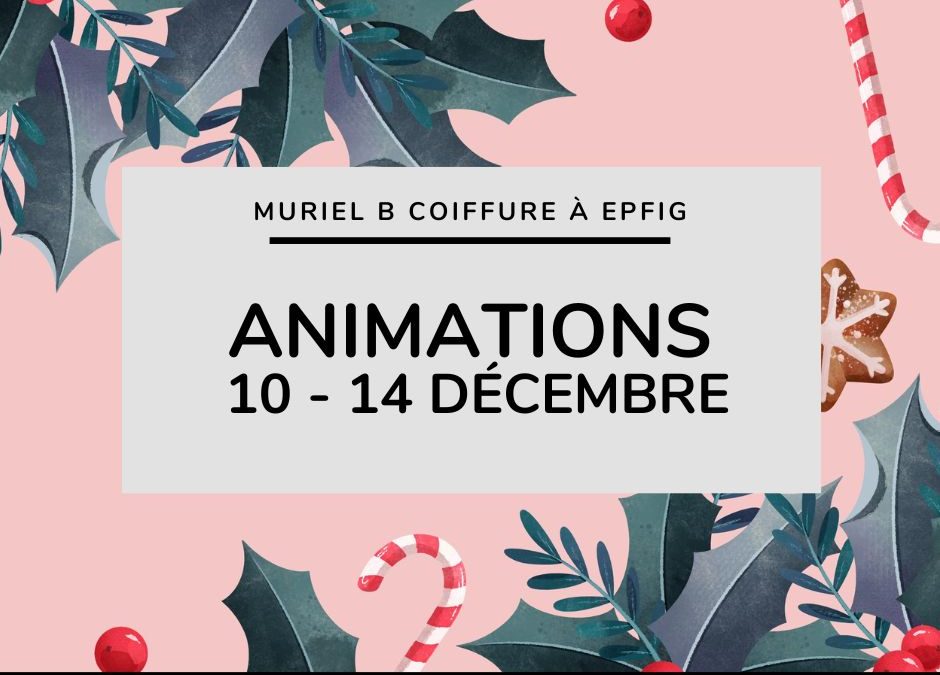 Animations de décembre : du 10 au 14 décembre