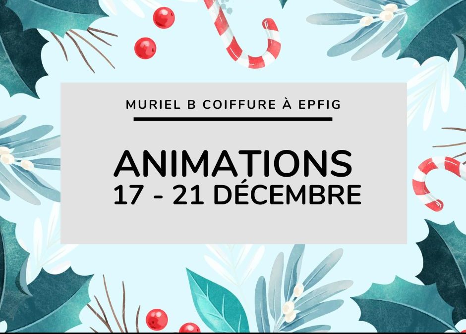 Animations de décembre : du 17 au 21 décembre